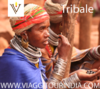 viaggi Tribali in India