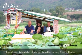 Questo viaggio visita Kashmir