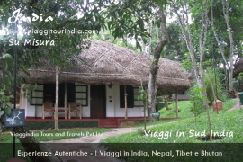 Viaggi in Sud-India