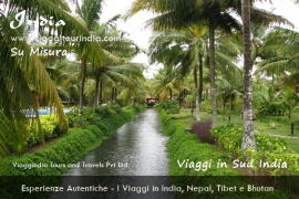 Viaggi in Sud-India