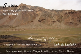 Viaggi in Ladakh - Viaggio su misura in India - Viaggio Ladakh India