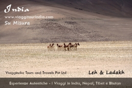 Viaggi in Ladakh - Viaggio su misura in India - Viaggio Ladakh India