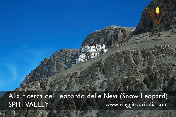 Viaggi India Alla ricerca del Leopardo delle Nevi (Snow Leopard) SPITI VALLEY - Vacanze e Tour India
Nome del viaggio: Viaggi India Alla ricerca del Leopardo delle Nevi (Snow Leopard) SPITI VALLEY - Vacanze e Tour India