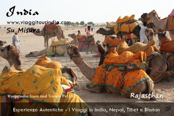 La Fiera Di Pushkar - 13 Giorni
Tour villaggi Rajasthan: DELHI - UDAIPUR - RANAKPUR - JODHPUR - JAISALMER - KHIMSAR - PUSHKAR - JAIPUR - AGRA Viaggi India 2023 VIAGGIO INDIA DEL NORD