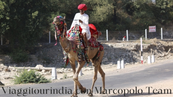 Viaggi in India - INDIA ADVENTURE - RAJASTHAN in collaborazione con Marcopolo Team