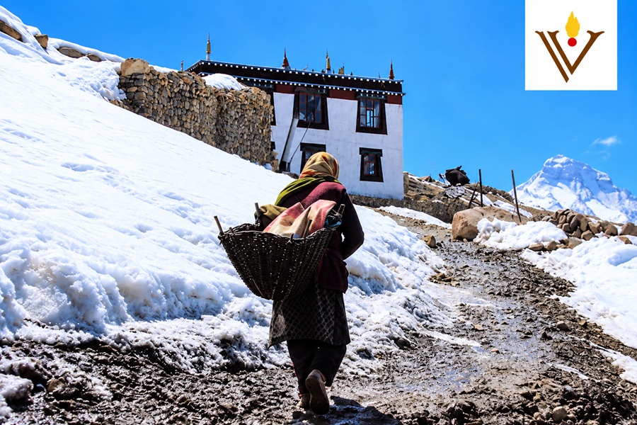 Alla ricerca del Leopardo delle Nevi (Snow Leopard) - SPITI VALLEY - viaggi in India