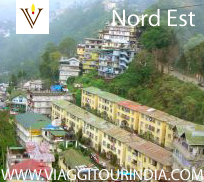 viaggi in Nord - Est dell'India