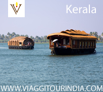 Viaggio Kerala Cochin - Munnar - Periyar - Kottayam - Alleppey - Kovalam - Trivandrum