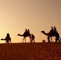 Tour India:Viaggio di Grupo nel Rajasthan COLORATO a Carnevale